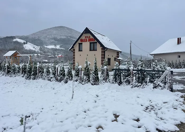 Vila Oaza Mira Draganici