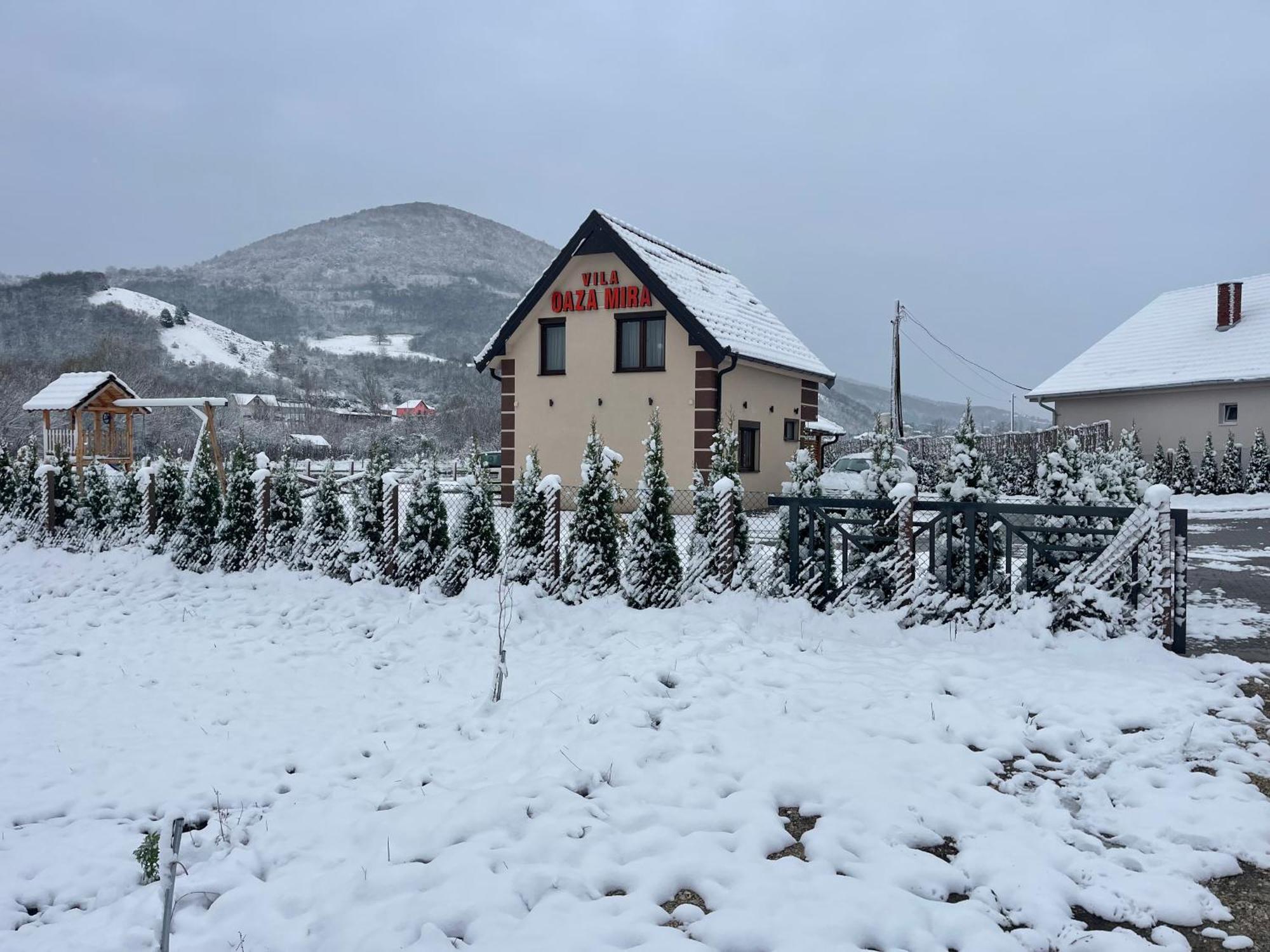 Oaza Mira Draganici